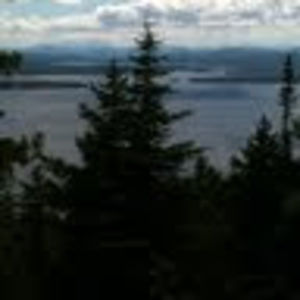 Meet your Posher, Patti